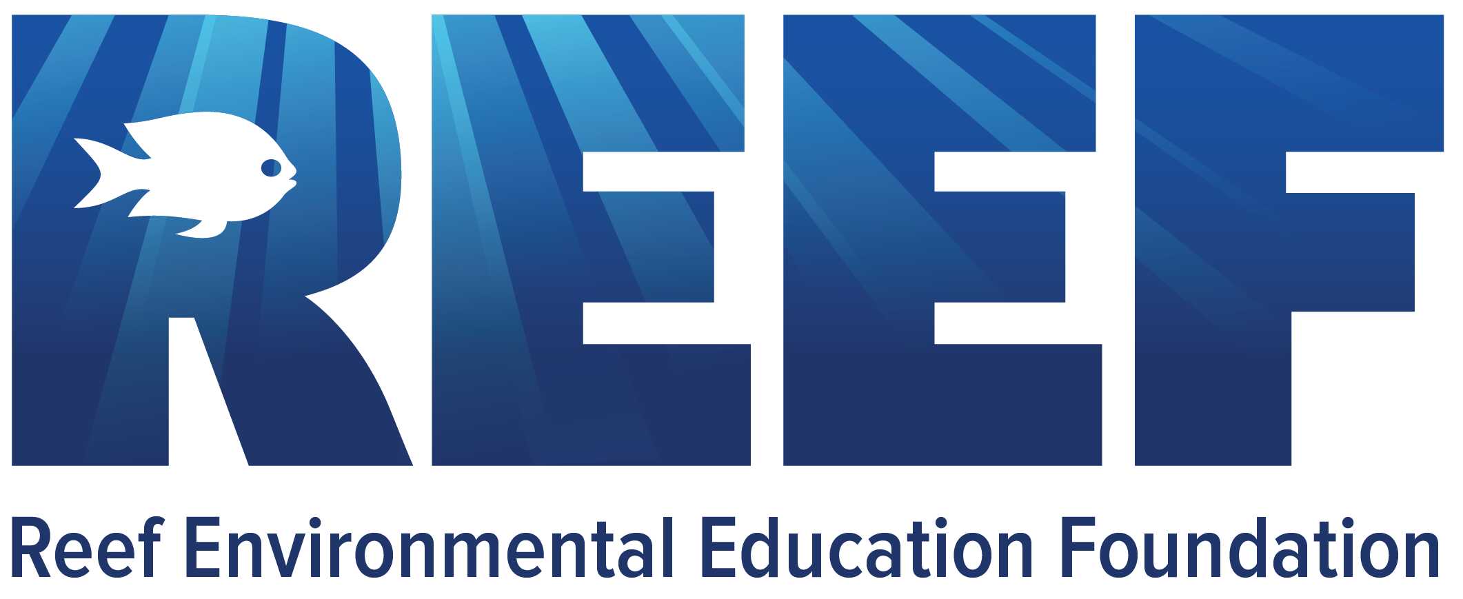 Reef Foundation
